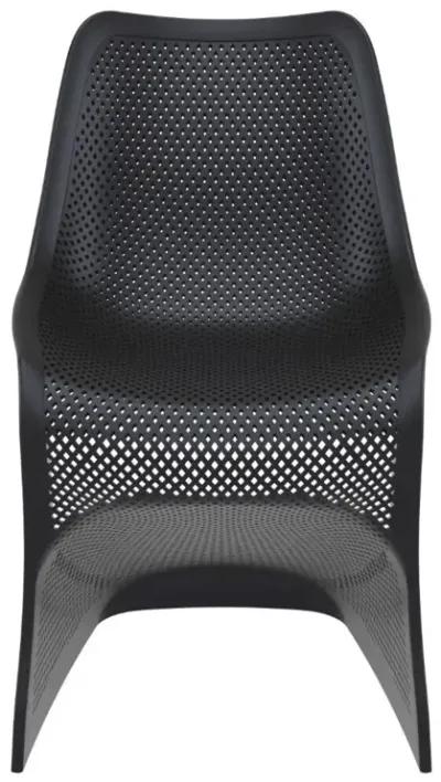 Compamia Bloom Dining Chair Black