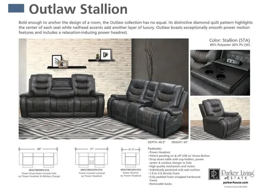 OUTLAW - STALLION