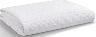 Bedgear Twin XL Dri Tec Mattress Protector