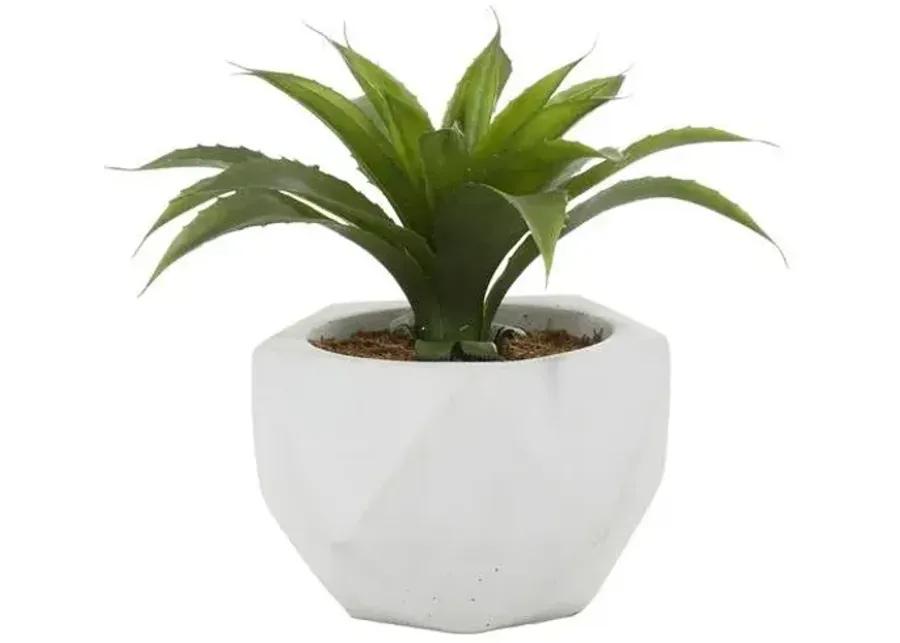 CERAMIC SILK PLANT