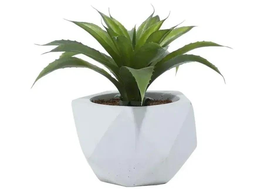 CERAMIC SILK PLANT