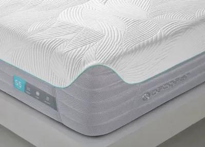 Bedgear Queen S5 Performance Mattress