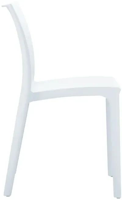 Compamia Maya Dining Chair White