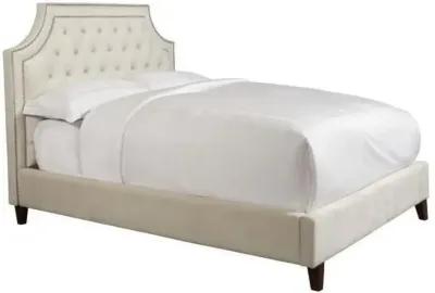 JASMINE KING HEADBOARD ONLY - CHAMPAGNE CREAM