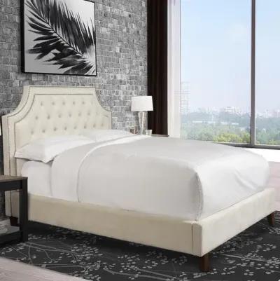 JASMINE KING HEADBOARD ONLY - CHAMPAGNE CREAM