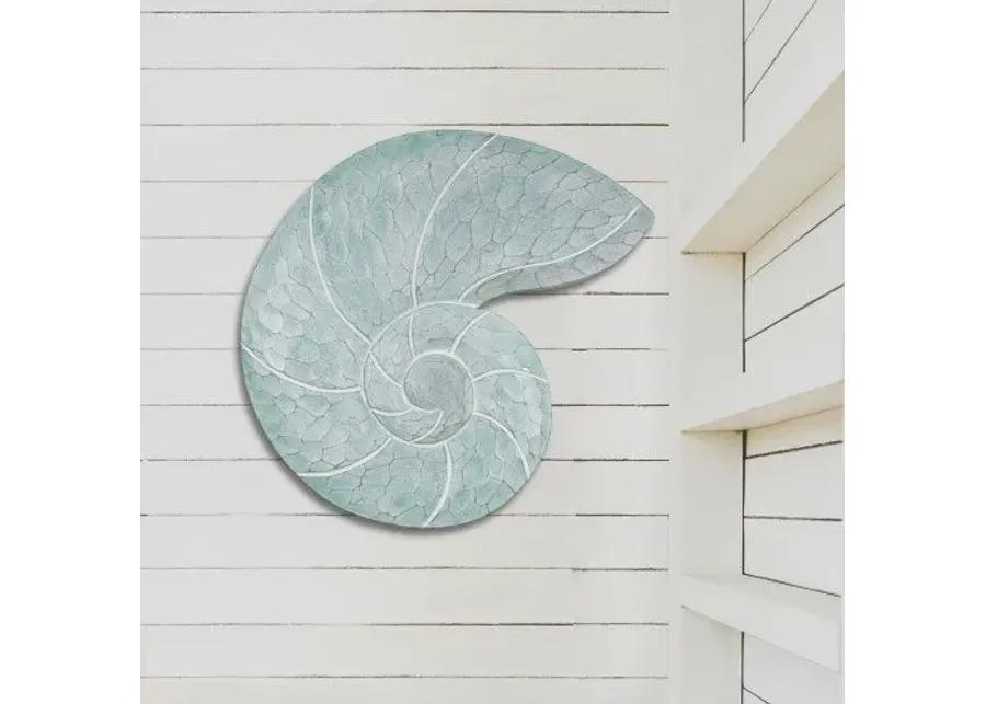 NAUTILUS SHELL SEAFOAM 12X15X1