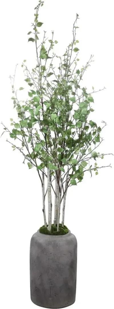 Uttermost Aldis Potted River Birch