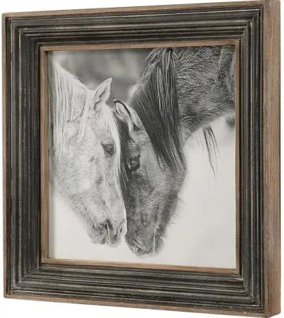 BLACK/WHITE HORSES FRAMED PRINT