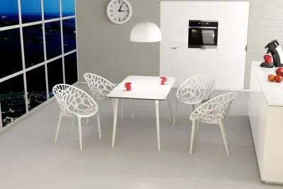 Compamia Crystal Polycarbonate Modern Dining Chair Glossy White