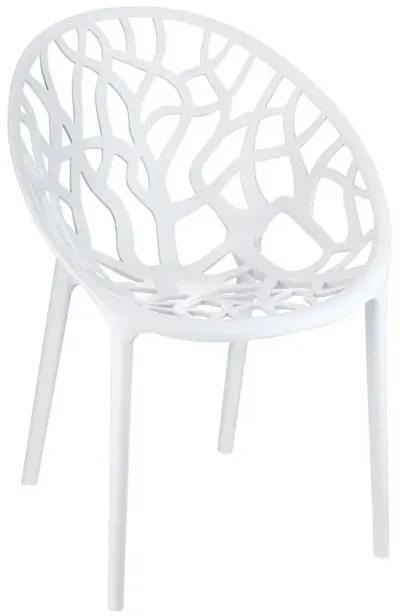 Compamia Crystal Polycarbonate Modern Dining Chair Glossy White