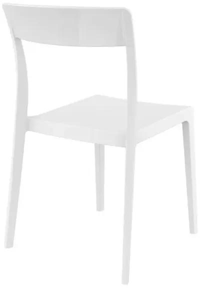 Compamia Flash Dining Chair White Glossy White