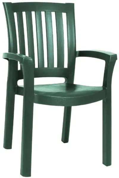 Compamia Sunshine Resin Dining Arm Chair Green