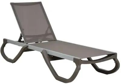 Rainbow Outdoor Panama Chaise Lounge in Cappuccino