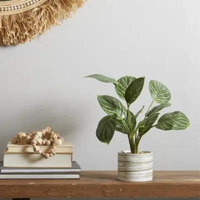 UMA Home Decor Green Faux Foliage Calathea Artificial Plant with Patterned Porcelain Pot