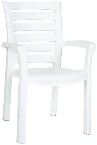 Compamia Marina Resin Dining Arm Chair White