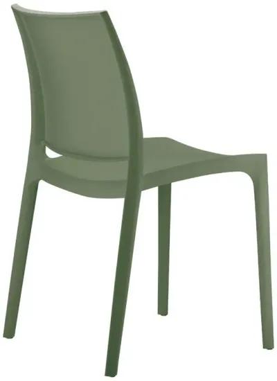 Compamia Maya Dining Chair Olive Green