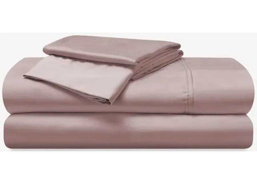 KING BLUSH HYPER COTTON SHEET SET