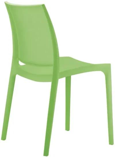 Compamia Maya Dining Chair Tropical Green