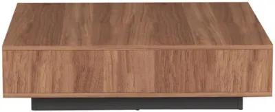 Chintaly Wooden Cocktail Table with Melamine Base & 2-Drawers