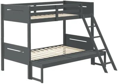 Coaster Littleton Wood Twin Over Full Bunk Bed Grey