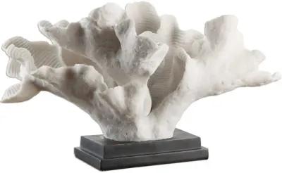 BLADE WHITE CORAL