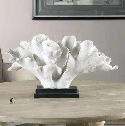 BLADE WHITE CORAL