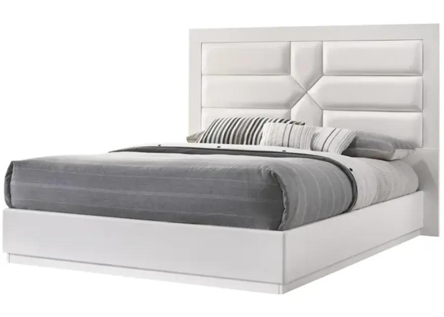 AMSTERDAM CONTEMPORARY KING SIZE BED