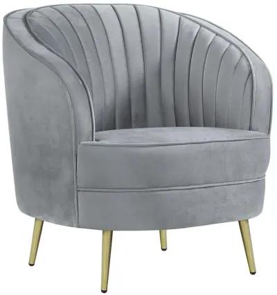 Coaster Sophia Upholstered Channel Tufted Barrel Accent Chair Grey