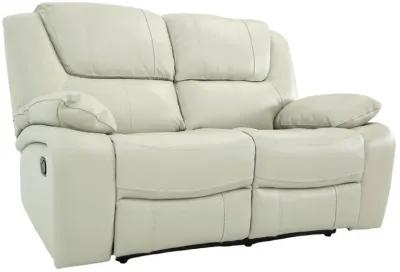 EASTON STONE LEATHER RECLINING LOVESEAT