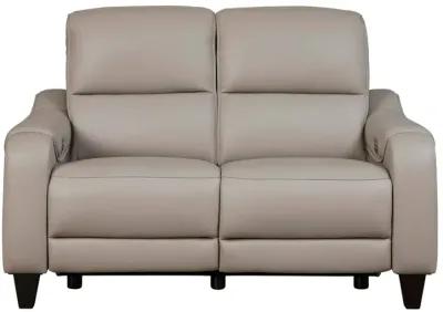 MERCOMATIC GRAY LEATHER 2P POWER RECLINING LOVESEAT