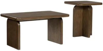 SHAWBECK 2 PIECE OCCASIONAL TABLE SET