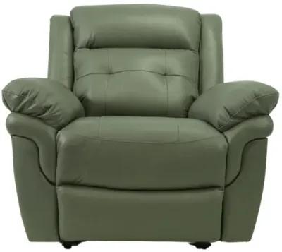 NEWBURY STONE LEATHER 1P POWER RECLINER