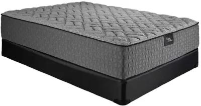 LEGEND FIRM QUEEN MATTRESS