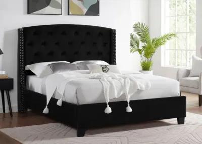 EVA BLACK QUEEN BED