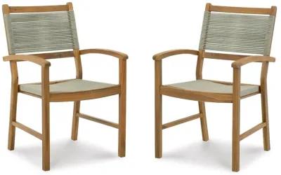 Janiyah Outdoor Dining Arm Chair (Set of 2)