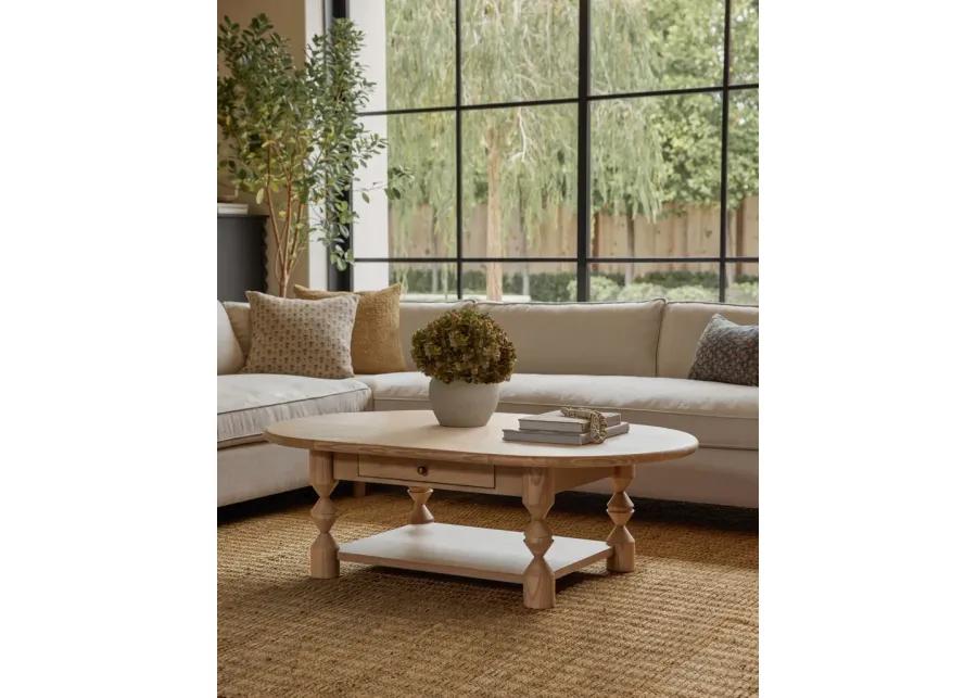 Topia Oval Coffee Table by Ginny Macdonald