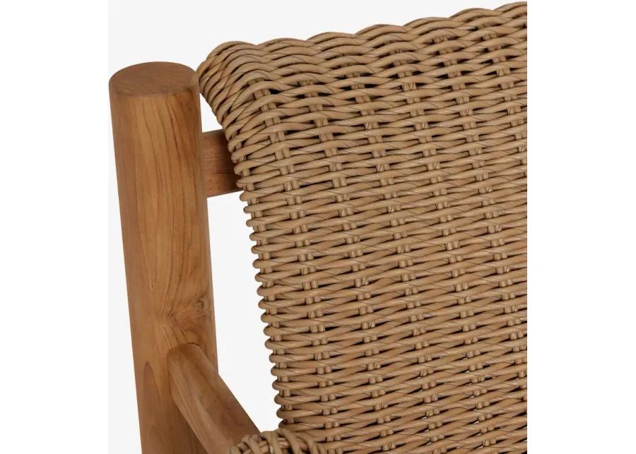 Gally Indoor / Outdoor Accent Chair