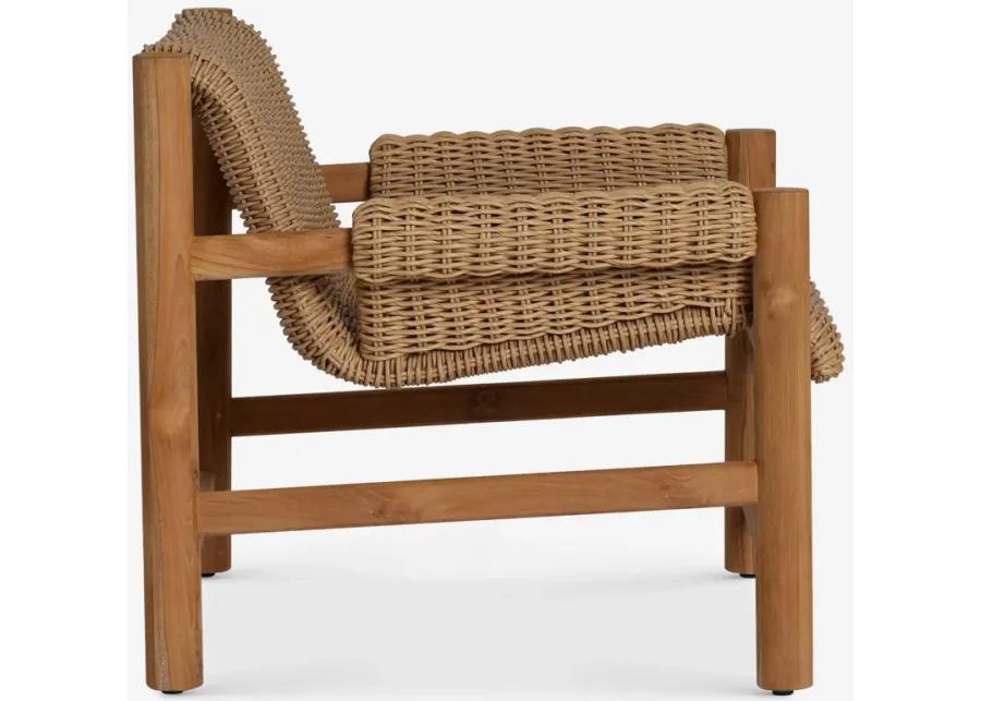 Gally Indoor / Outdoor Accent Chair