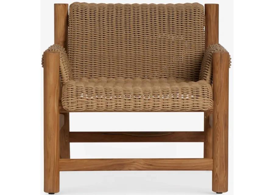 Gally Indoor / Outdoor Accent Chair