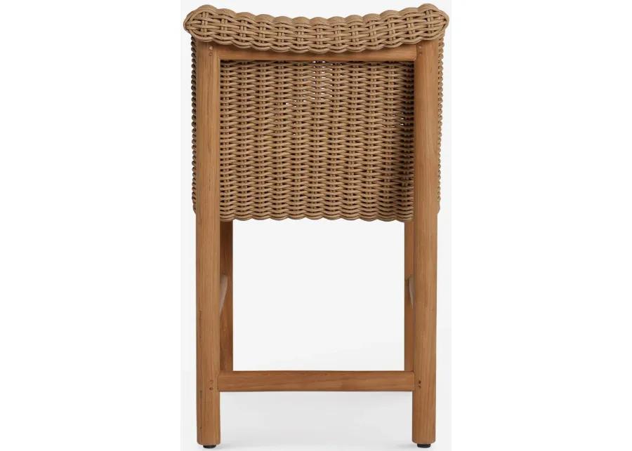 Gally Indoor / Outdoor Dining Chair