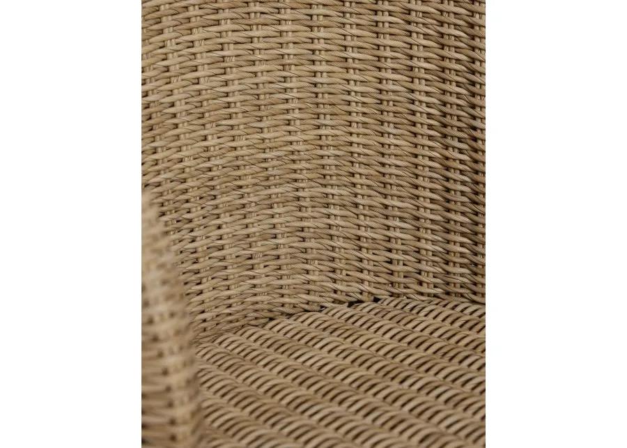 Mettam Indoor / Outdoor Dining Chair