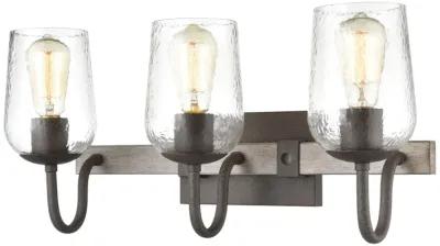 Dillon 22'' Wide 3-Light Vanity Light