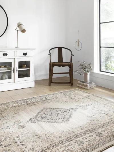 Teagan Oatmeal/Ivory 9'9" x 13'6" Rug