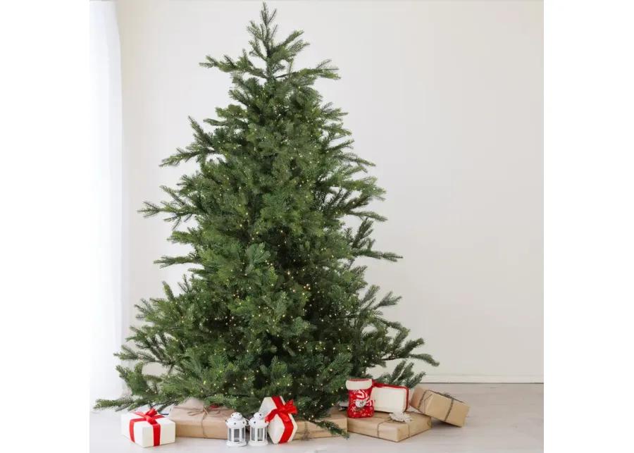 7.5' Pre-Lit Full Oregon Noble Fir Artificial Christmas Tree - Warm White LED Lights