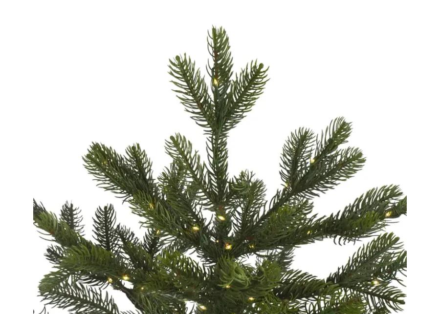 7.5' Pre-Lit Full Oregon Noble Fir Artificial Christmas Tree - Warm White LED Lights