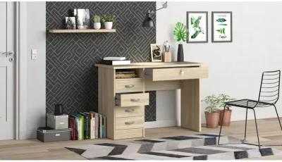 Tvilum Desk with 5 Drawers, Oak