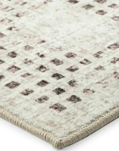 Delano DA1 Ivory 2'6" x 12' Rug