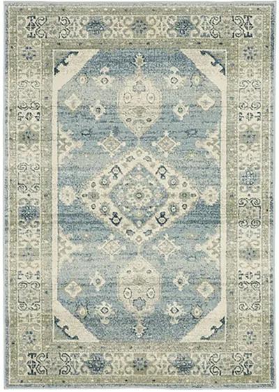 Branson 7'10" x 10' Blue Rug