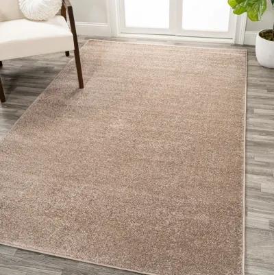 Haze Solid Low-Pile Area Rug