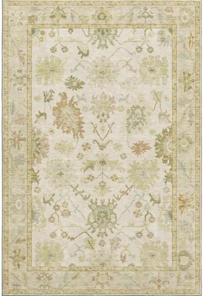 Hatay HY2 Ivory 20" x 30" Rug